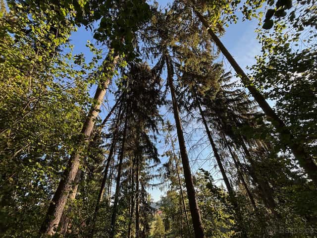 Prodej, pozemek, 4 663 m, 65, Zlatá Koruna - Rájov, Česko, okres Český Krumlov