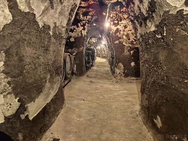 Pronájem, vinný sklep s lisovnou a posezením, Nový Šaldorf, okres Znojmo