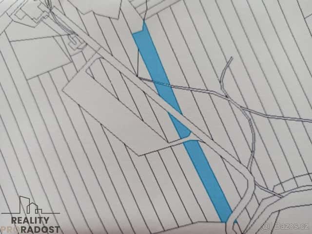 Prodej lesního pozemku Vilémovice u Macochy, okres Blansko