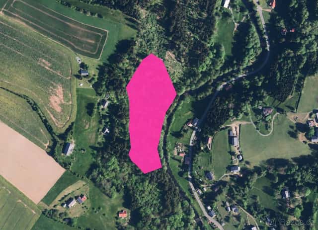 Prodej lesa 19 893 m², Klášterec nad Orlicí, ev.č. 10152-1, okres Ústí nad Orlicí