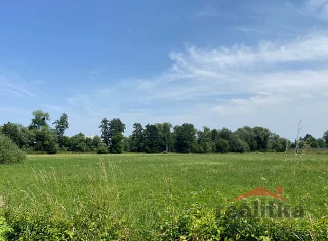 Prodej komerčního stavebního pozemku o výměře cca 10 900 m², okres Opava