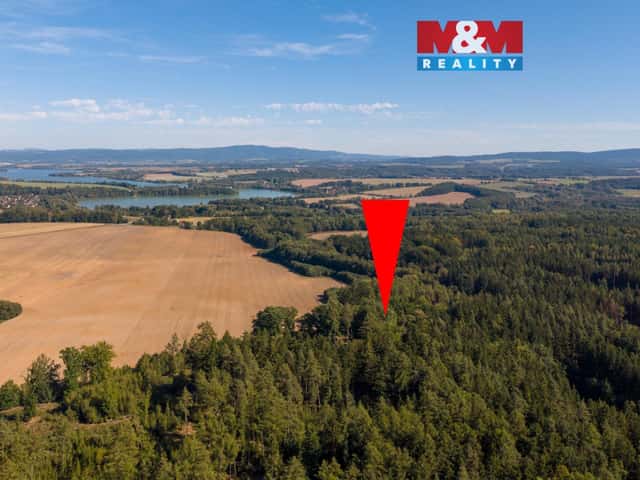 Prodej lesa, 1.757 m, Podhrad, Cheb, Cheb – Podhrad