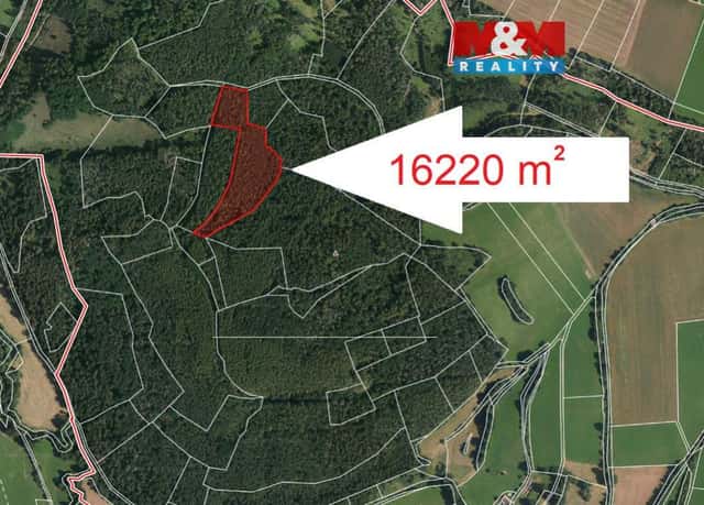 Prodej lesa v Petrovicích 16220 m, Praha 3 – Mezihoří