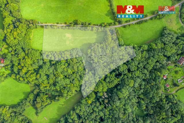 Prodej pastviny s lesním pozemkem 22.174 m v Homoli u Panny, Homole u Panny – Suletice, okres Ústí nad Labem