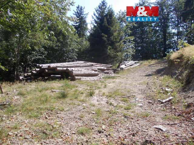 Prodej chaty, 36 m, Pstruží, Pstruží, okres Frýdek-Místek
