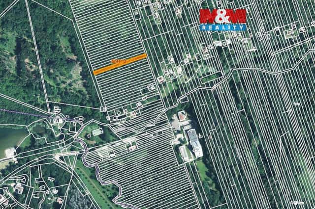 Prodej lesa, 953 m, Kněždub, Kněždub, okres Hodonín