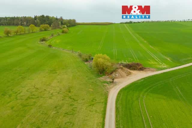 Prodej louky, 730 m, Olešnice, Olešnice, okres Rychnov nad Kněžnou
