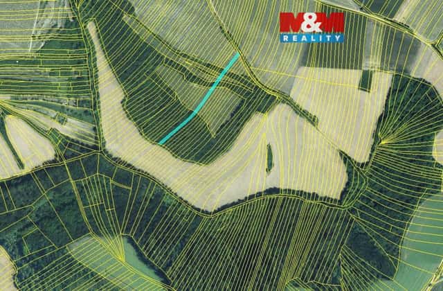 Prodej lesa a vinice, 553 m, Křepice u Hustopečí, Křepice, okres Břeclav