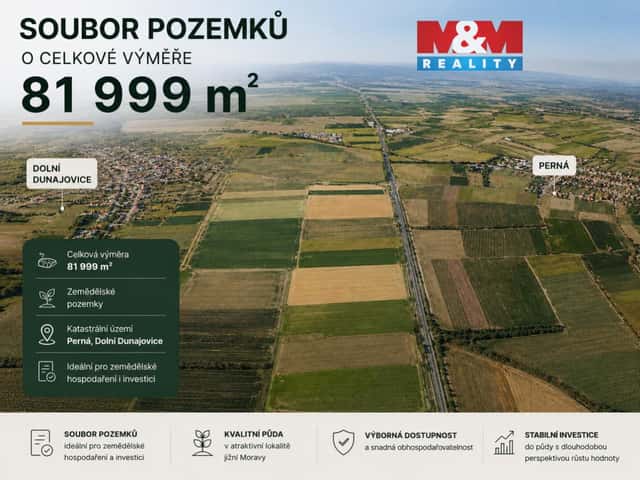 Prodej pole, 81999 m, Perná, Perná, okres Břeclav