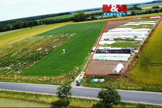 Prodej ovocného sadu, 18000 m, Nové Dvory, Nové Dvory, okres Kutná Hora