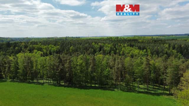 Prodej lesa, 79000 m, Černýšovice, Černýšovice, okres Tábor