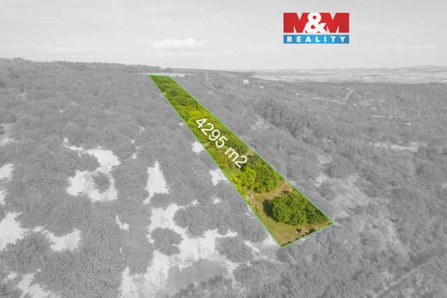 Prodej ovocného sadu 4295 m2 v Židlochovicích, Židlochovice, okres Brno-venkov