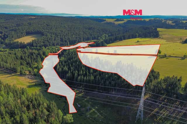 Prodej komerčního pozemku, 112976 m, Mnichov, Mnichov, okres Rychnov nad Kněžnou