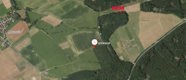 Prodej lesa, 48170 m, Mokrouše, Mokrouše, okres Plzeň-město