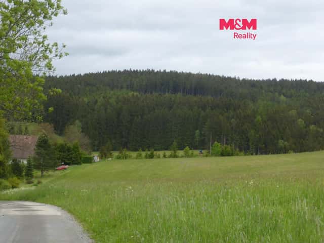 Prodej lesních pozemků a louky, 26 000 m, Hronov, Praha 2