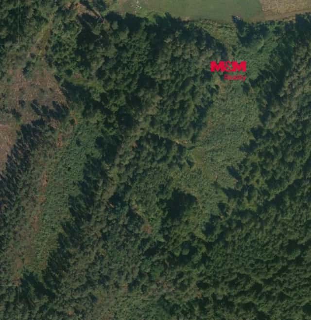 Prodej lesa, 32765 m, Libín, Libín – Slavošovice, okres České Budějovice