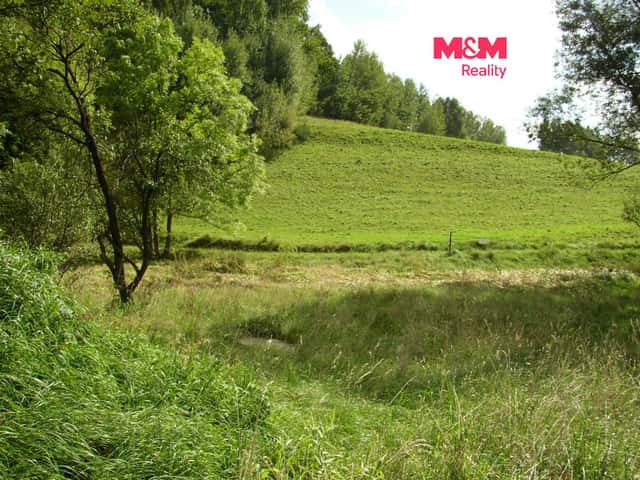 Prodej louky, 2749 m, Janův Důl, Janův Důl, okres Liberec