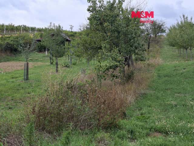Prodej vinice, Vlkoš - Hodonín, Praha 5