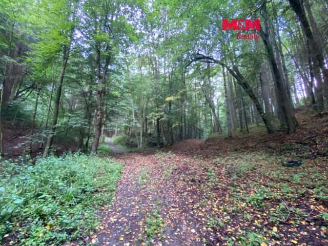 Prodej louky 2261 m2, v Strážné, Strážná, okres Ústí nad Orlicí