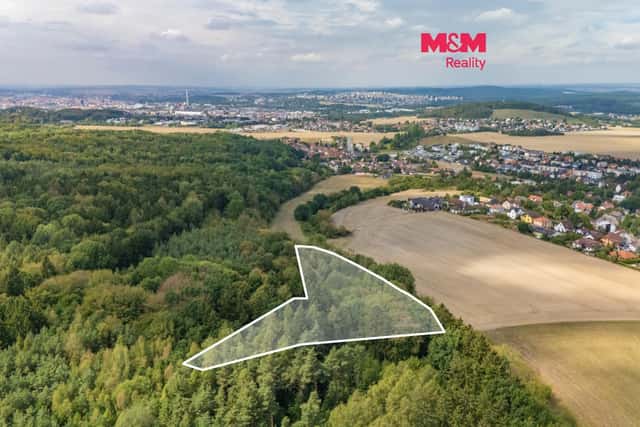 Prodej zahrady a lesa, 6522 m, Plzeň - Červený Hrádek, Plzeň – Červený Hrádek, okres Plzeň-město