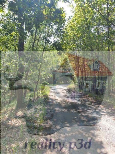 Prodej pozemku v Dubé, Českolipsko. Prodej lesního pozemku o rozloze 1360m2., Dubá, okres Česká Lípa