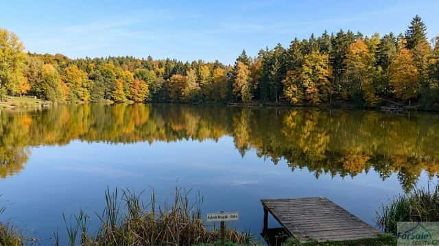 Pozemek v blízkosti rybníka Mrazák, Dubá, Dubá, okres Česká Lípa