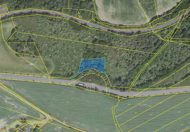 Prodej 1405 m2 zahrady v k.ú. Příčina, Příčina – Petrovice, okres Rakovník