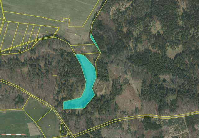 Prodej 1,17 ha louky v k.ú. Nová Ves u Čížové, Čížová – Křešice, okres Písek
