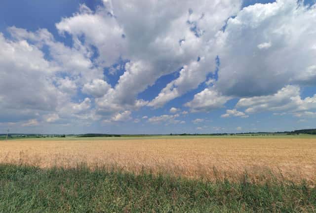 Prodej 1,72 ha půdy v k.ú. Řepeč, Řepeč – Hájky, okres Tábor