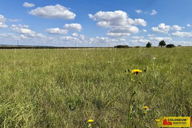 Znojmo, stavební parcela pro výstavbu komerčních objektů, 8 168 m2 pozemek, Znojmo – Mramotice