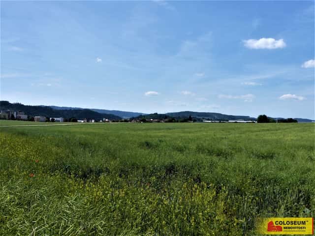 Letovice, zemědělská půda 7.225 m - pozemek, Letovice, okres Blansko