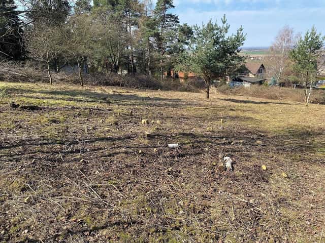 Prodej stav. pozemku na RD 1291 m2 v Dolních Jirčanech, Praha západ, Duhová, Psáry – Dolní Jirčany, okres Praha-západ