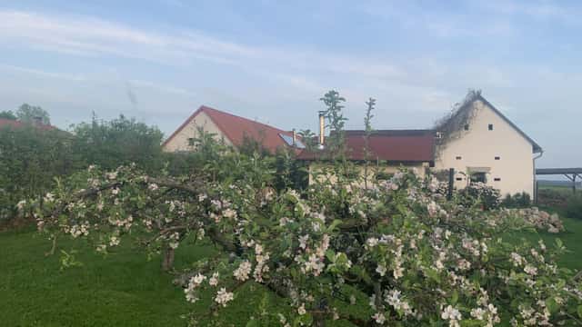 Bydlení, rekreace, chov koní, pronájem pro turisty, Pluhův Žďár – Jižná, okres Jindřichův Hradec
