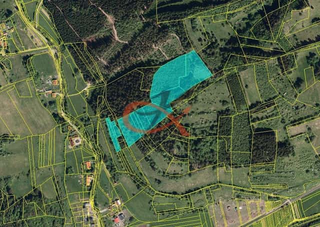 Prodej lesních pozemků Nový Hrozenkov, Nový Hrozenkov, okres Vsetín