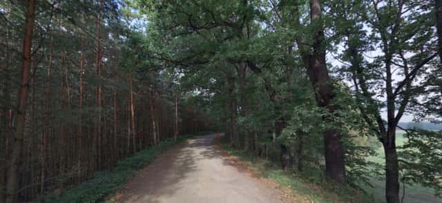 Prodej pozemků 27344 m2, les, Stráž nad Nežárkou,, náměstí Emy Destinnové, Stráž nad Nežárkou, okres Jindřichův Hradec