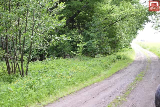 Prodej vodní přírodní nádrže 4 584 m, Horní Heřmanice, Horní Heřmanice – Horní Heřmanice v Čechách, okres Ústí nad Orlicí