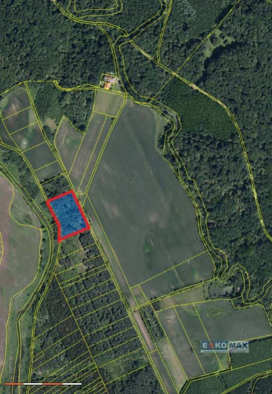 Prodej lesního pozemku 3.405m2, Břeclav – Charvátská Nová Ves
