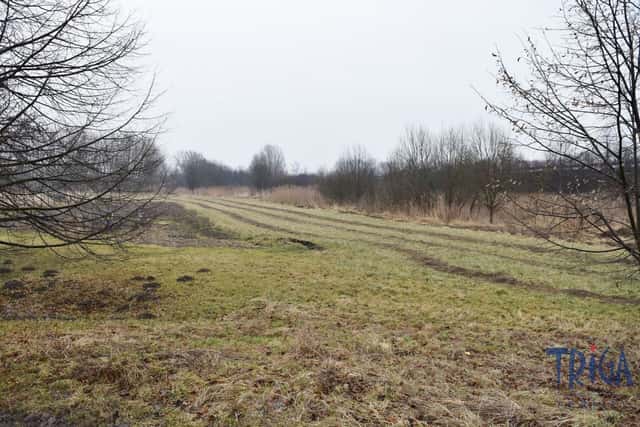 Velký Třebešov - trvalý travní porost 1685 m2, Velký Třebešov, okres Náchod