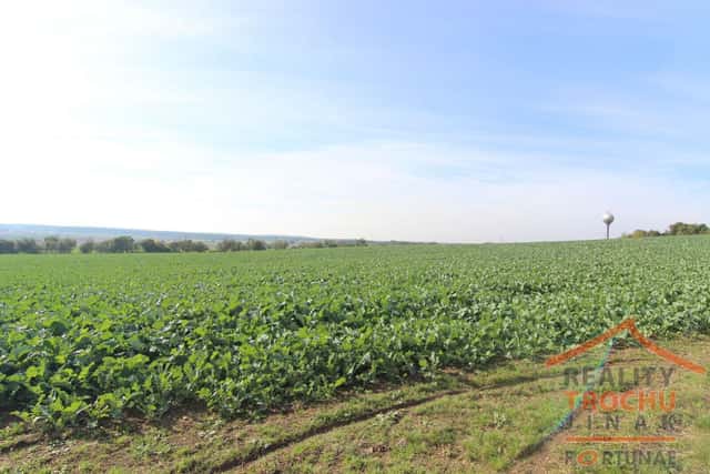 Prodej stavebního pozemku 2109 m2, Chotětov, Mladá Boleslav, Chotětov, okres Mladá Boleslav