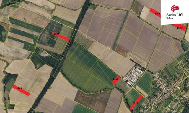 Prodej pole 75919 m2, Knínice, Knínice, okres Blansko