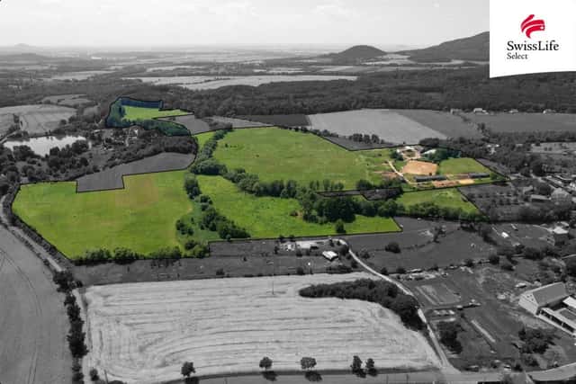 Prodej komerčního pozemku 225295 m2, Třebušín, Třebušín, okres Litoměřice