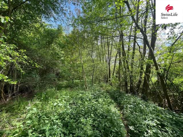 Prodej lesa 6071 m2, Horní Dunajovice, Horní Dunajovice, okres Znojmo