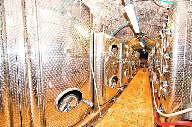 Exkluzivní prodej certifikovaného vinařství na Moravě - vinice, sklep, sklad, technologie, značka a, Strachotín, okres Břeclav