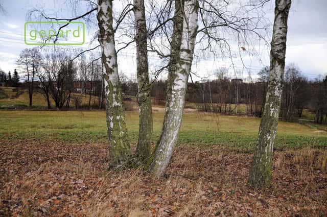 Prodej, Pozemek zemědělská půda, 4674m2, Trhové Sviny, Trhové Sviny, okres České Budějovice