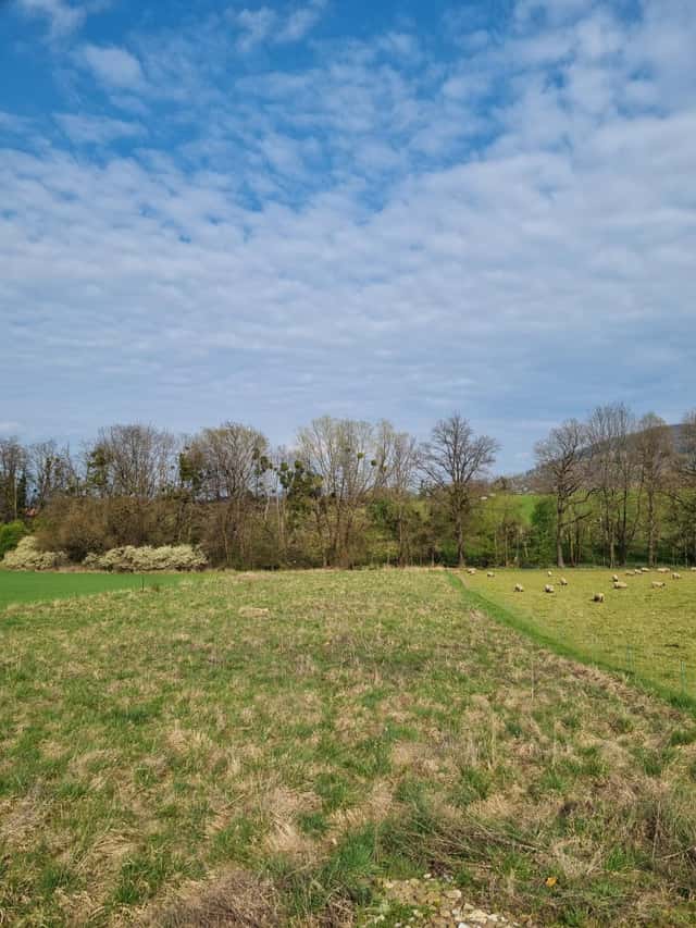 Pronájem pozemku 850 m2, Štramberk, U sv. Kateřiny, Štramberk, okres Nový Jičín