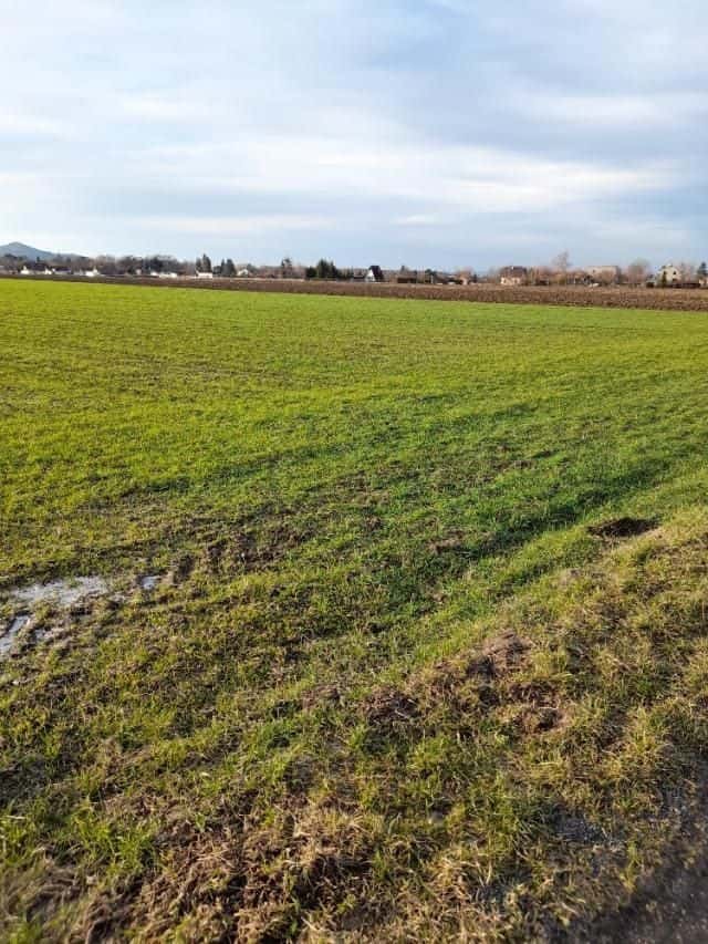 Pronájem pozemku, 700 m2, Kopřivnice, Drnholec nad Lubinou, Kopřivnice, okres Nový Jičín