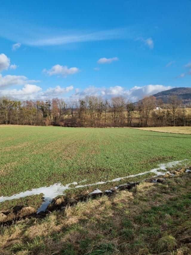 Pronájem pozemku 800 m2 a 1000 m2, Štramberk, Náměstí, Štramberk, okres Nový Jičín