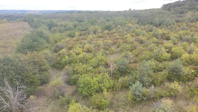 Prodej sadů, Kalešov, Bechlín – Dobříň, okres Litoměřice