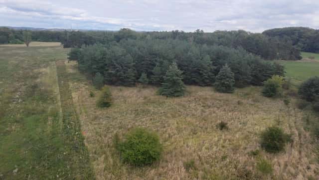 Prodej pozemku k výstavbě, Předonín, Bechlín – Předonín, okres Litoměřice