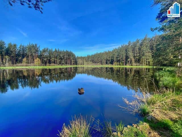 Prodej - Zelený rybník o výměře 16 545 m2 u obce Trstěnice, okres Cheb, Karlovarský kraj, Trstěnice, Trstěnice, okres Cheb